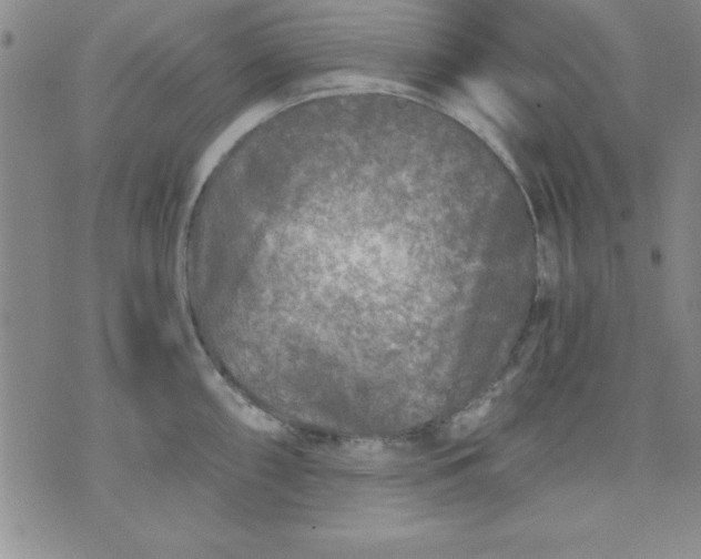 X0000071331098200607141859