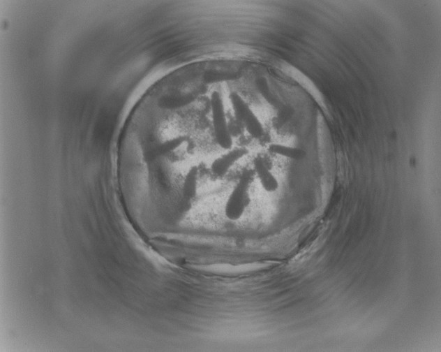 X0000071331099200607141859