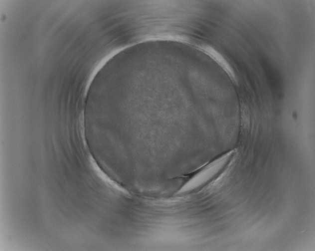 X0000071331100200607141859