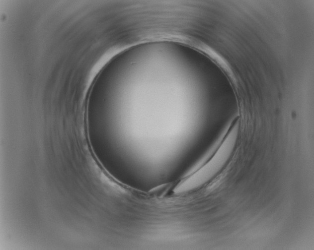 X0000071331102200607141859