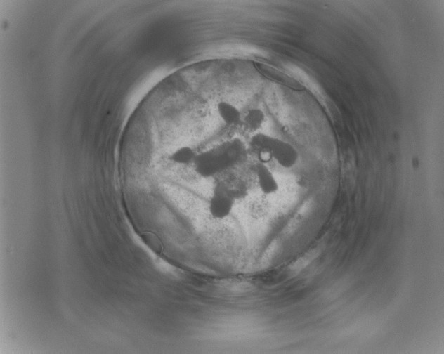 X0000071331103200607141859