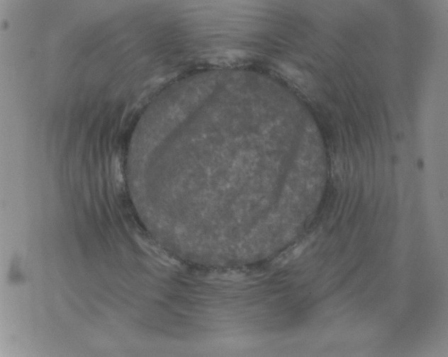 X0000071331106200607141858