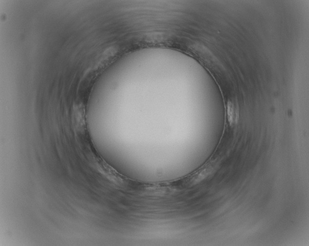 X0000071331107200607141858