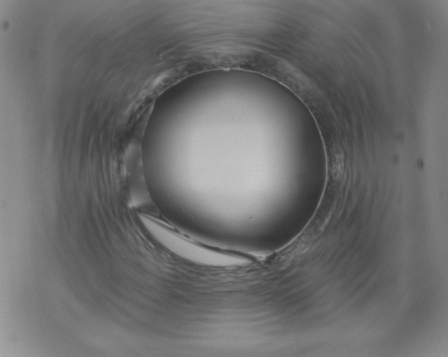 X0000071331108200607141858