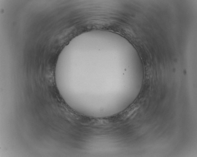 X0000071331109200607141858