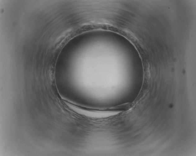 X0000071331110200607141858