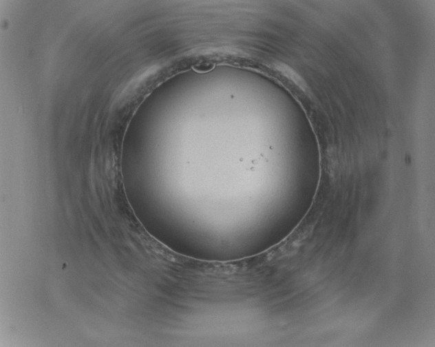 X0000071331111200607141858