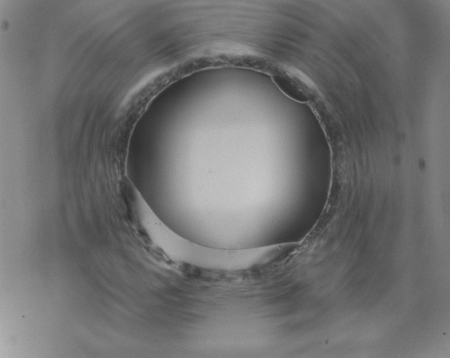 X0000071331112200607141858