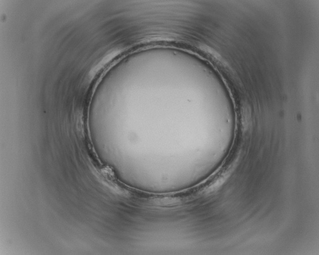 X0000071331113200607141858