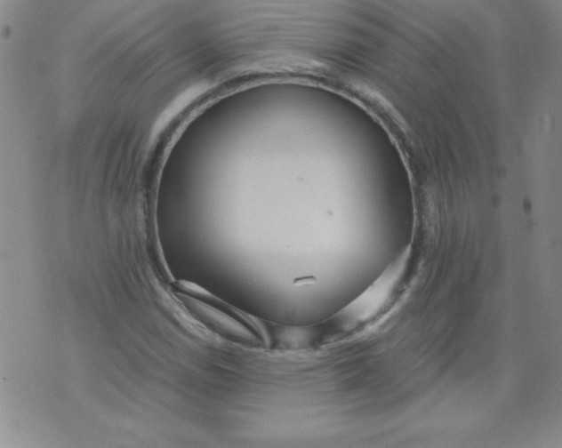 X0000071331114200607141858