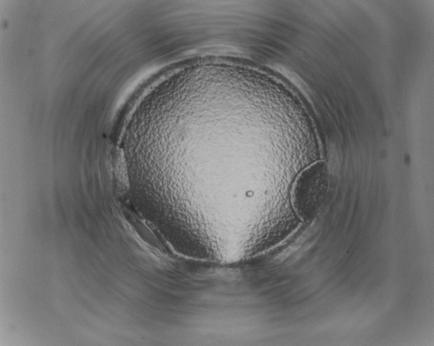 X0000071331115200607141858