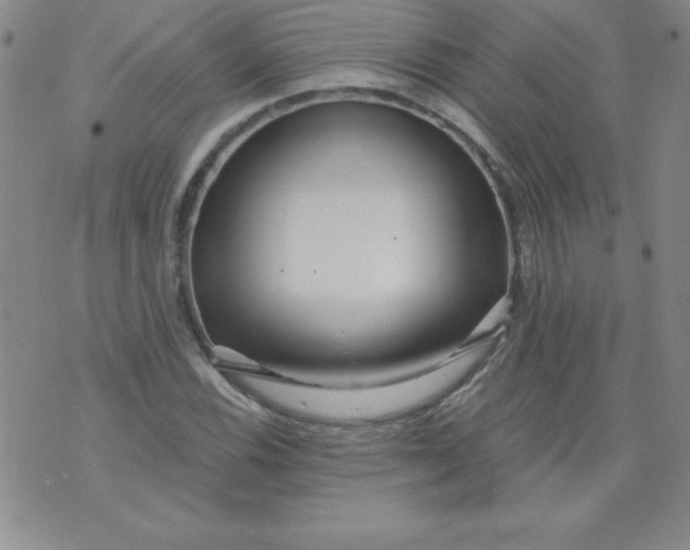 X0000071331116200607141858