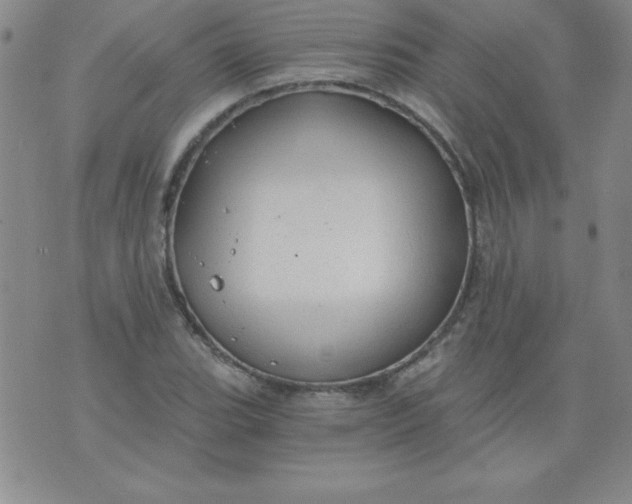 X0000071331119200607141859