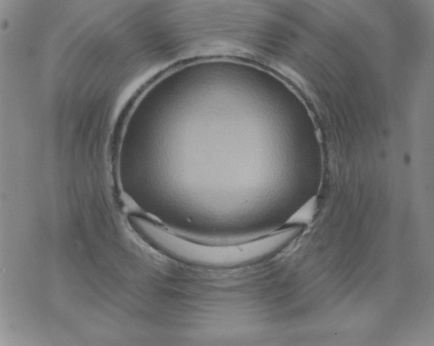 X0000071331120200607141859