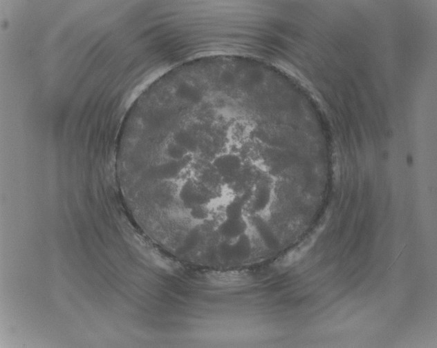 X0000071331121200607141859