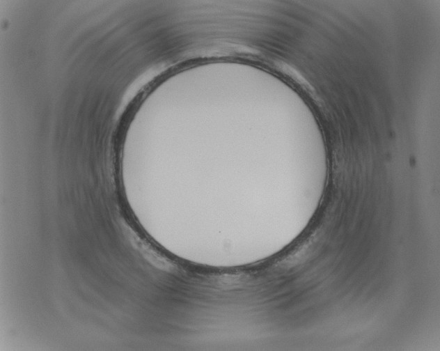 X0000071331122200607141859