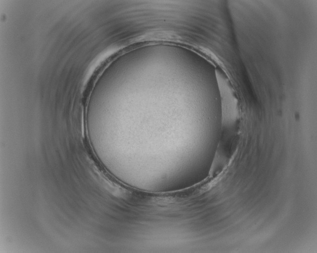 X0000071331123200607141859