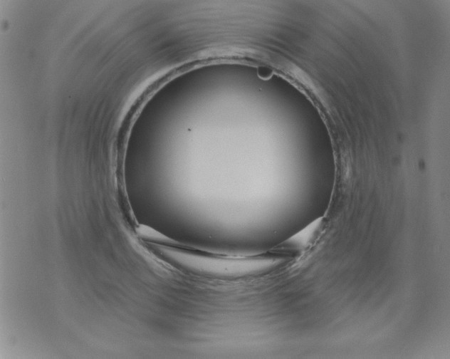 X0000071331124200607141859