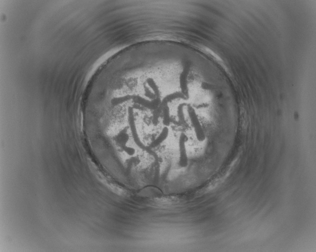 X0000071331125200607141859