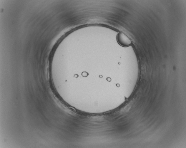 X0000071331126200607141859