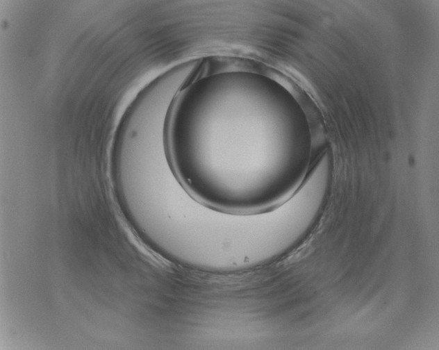 X0000071331128200607141859