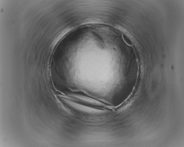 X0000071331129200607141859