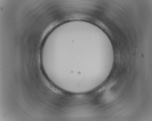 X0000071331130200607141859