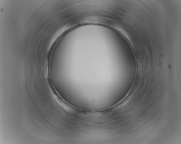 X0000071331131200607141859