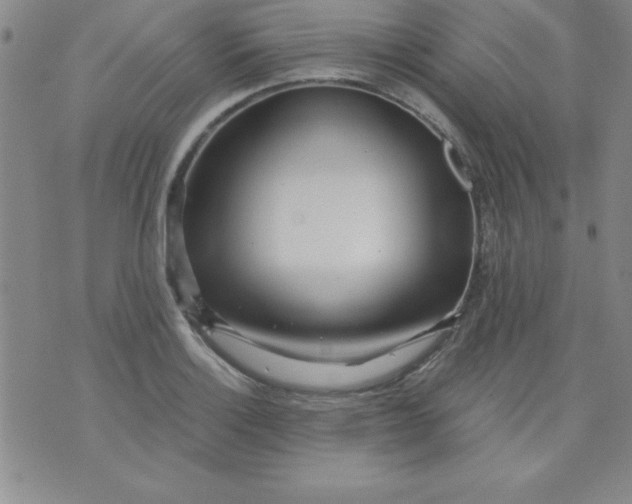 X0000071331132200607141859