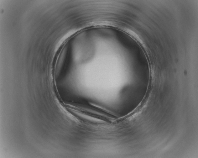 X0000071331133200607141859