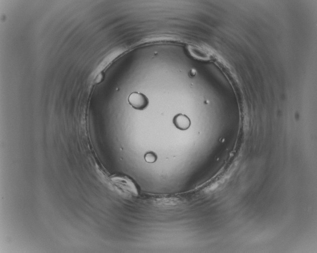 X0000071331137200607141859