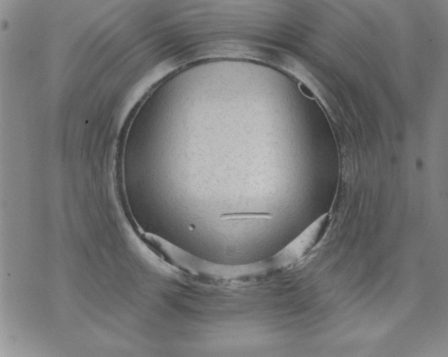 X0000071331139200607141859