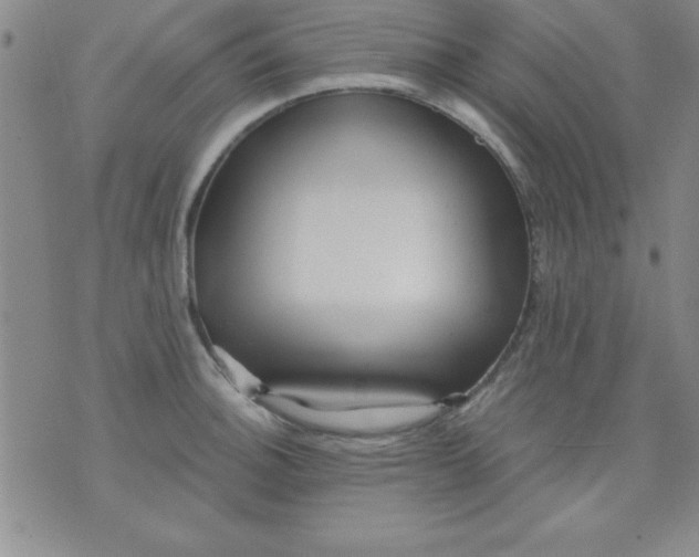 X0000071331140200607141859