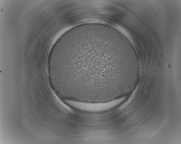 X0000071331141200607141859