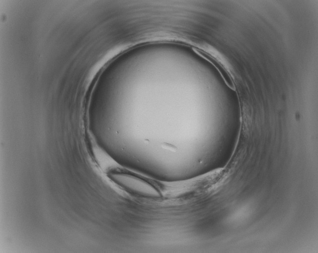 X0000071331142200607141859