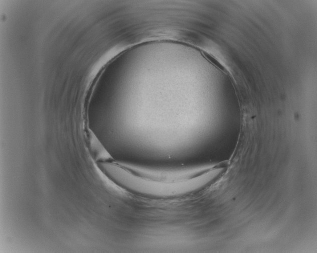 X0000071331143200607141859