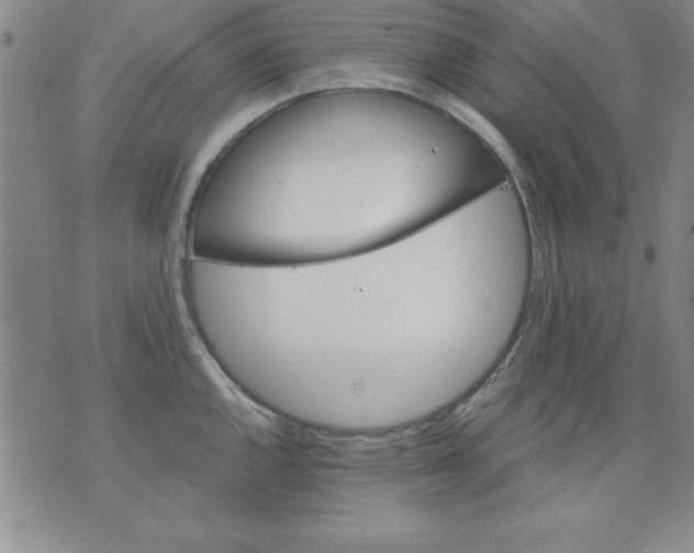 X0000071331144200607141859