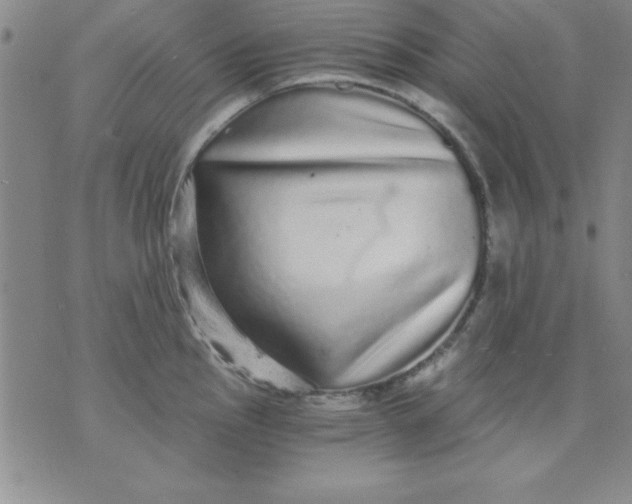 X0000071331145200607141859