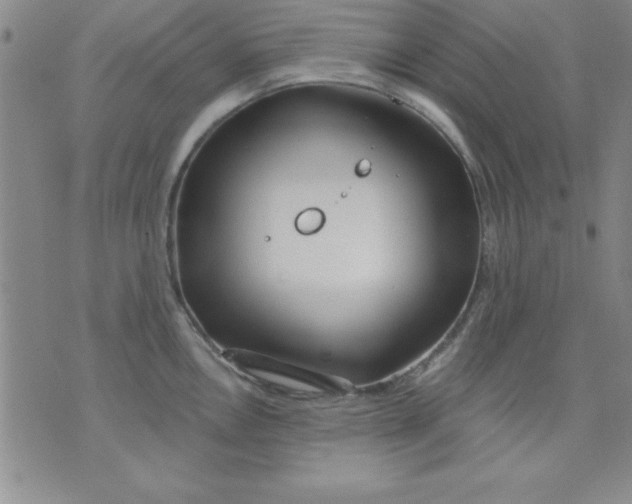 X0000071331146200607141859