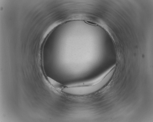 X0000071331147200607141859