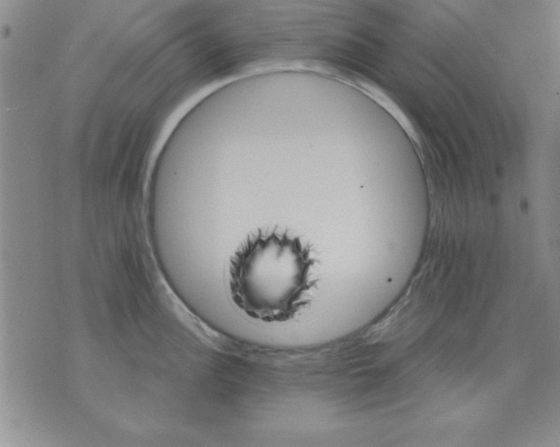 X0000071331148200607141859