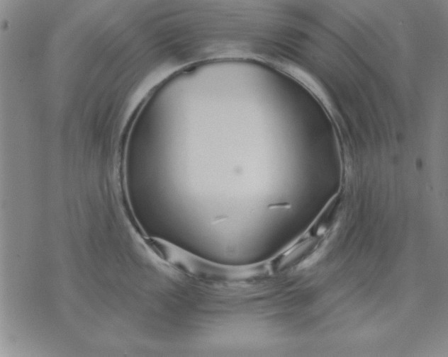 X0000071331149200607141859