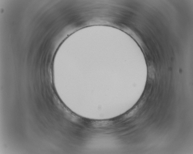 X0000071331150200607141859