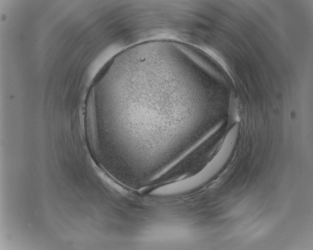 X0000071331151200607141859