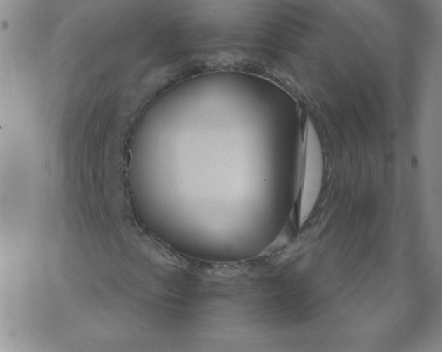 X0000071331153200607141858