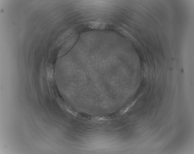 X0000071331154200607141858