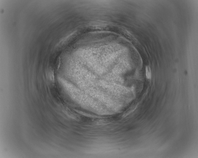 X0000071331155200607141858