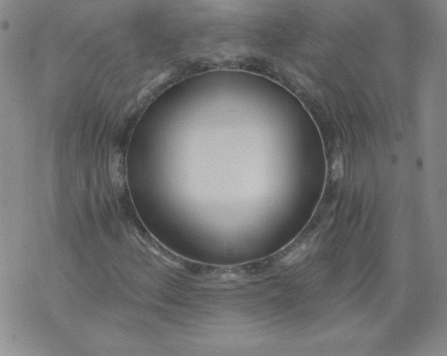 X0000071331156200607141858