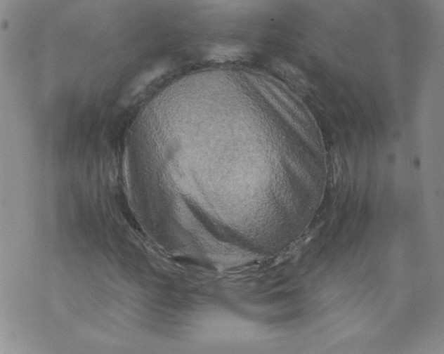 X0000071331158200607141858