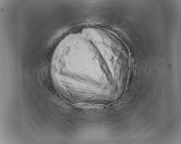 X0000071331159200607141858